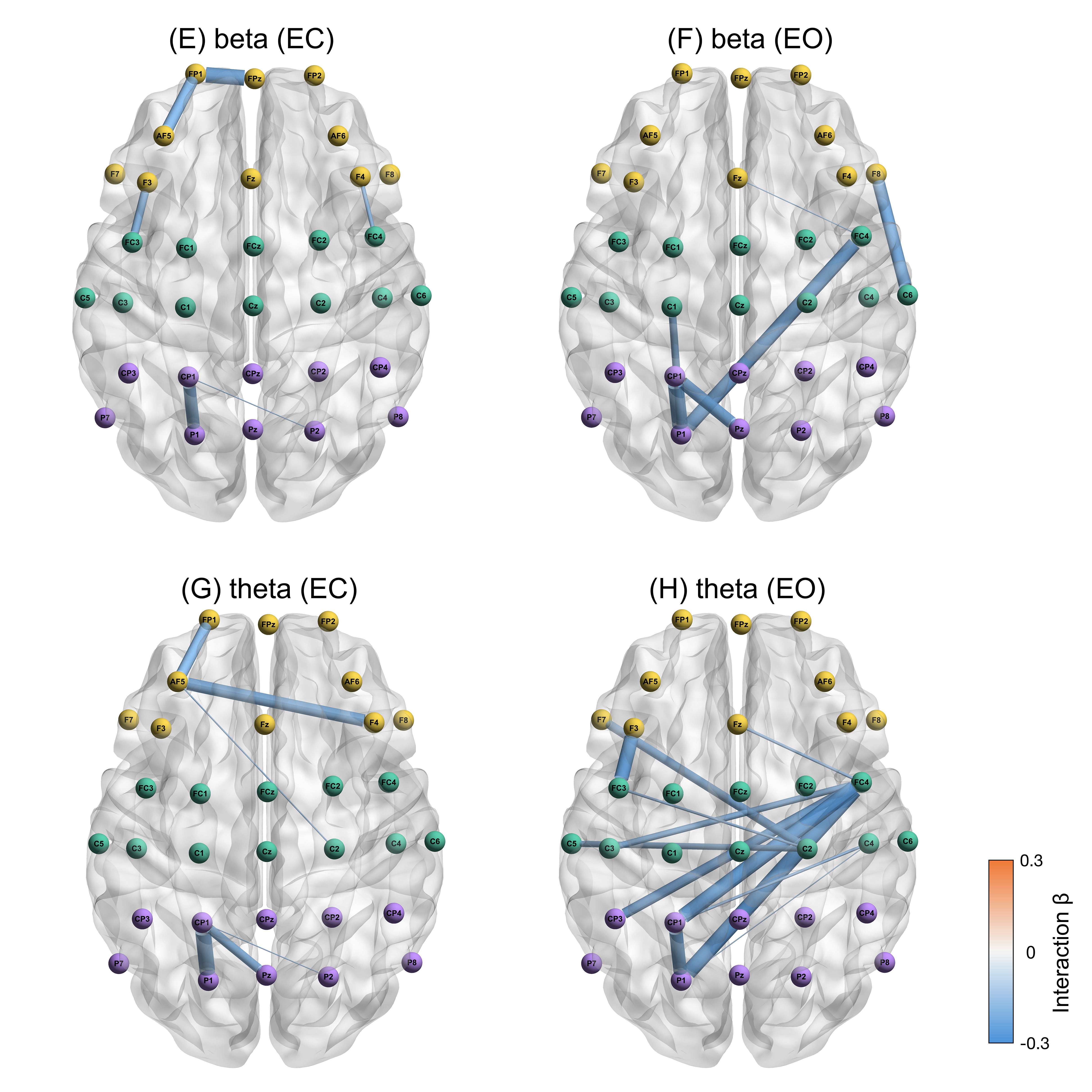 论文中的脑电功能连接BrainNet图